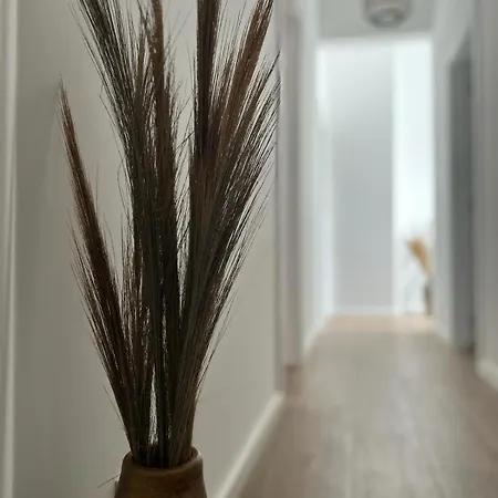 לינה וארוחת בוקר Casa Noava 3*